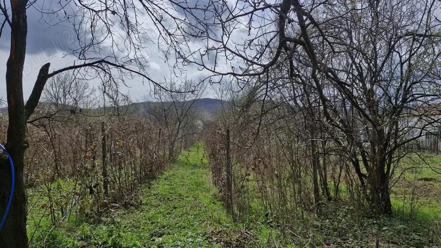 Casă cu 3 camere cu Teren 3677 Mp în Măgureni