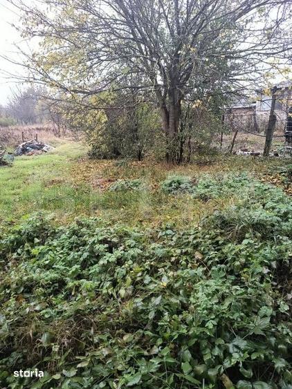 Casă cu 3 camere cu Teren 950 Mp în Sânpaul