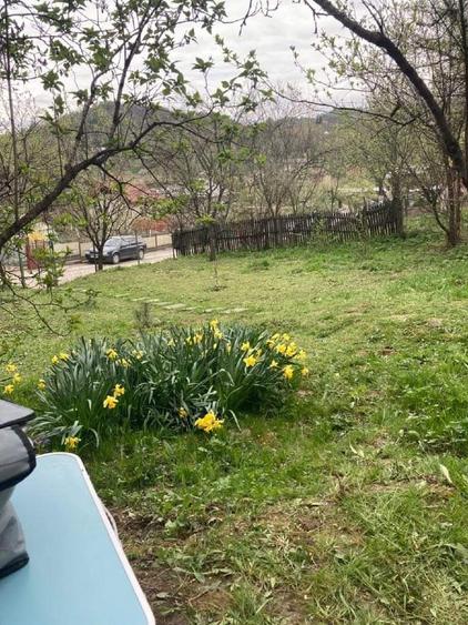 Teren Construcții intravilan de 5000 mp, în Poseștii-Pământeni
