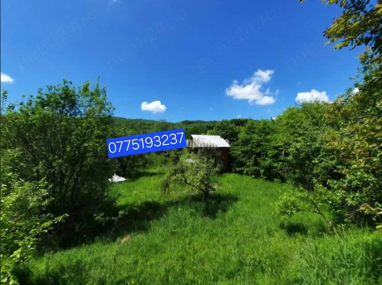 Teren de 30 mp, în Central