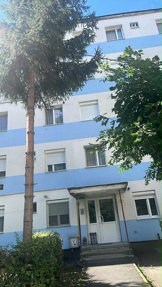 Apartament cu 2 camere semidecomandat în Botiza