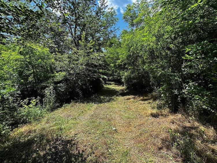 Teren de 6857 mp, în Bujoreni
