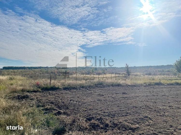 Teren intravilan de vanzare in Cihei - 5