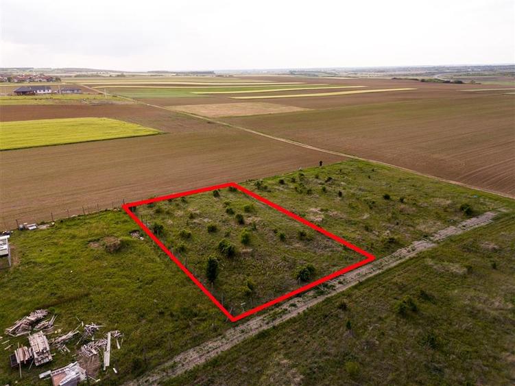 RECO Teren de vanzare Paleu 1025mp - 6