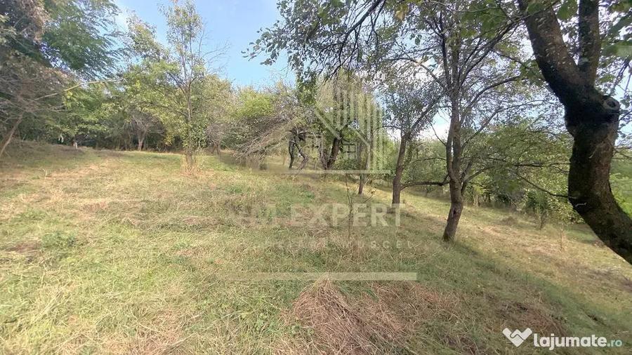 Casă cu 3 camere cu Teren 6660 Mp în Boteni