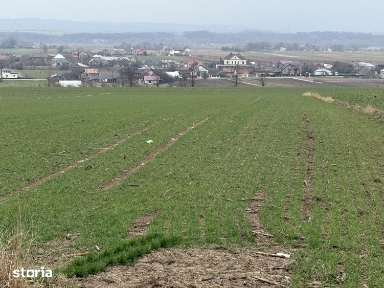 Teren de 3255 mp, în Grănicești