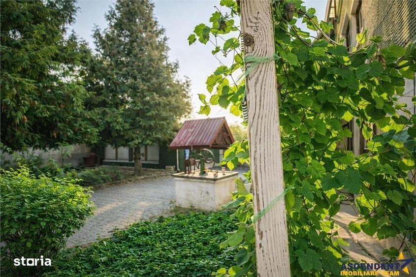 Casa saseasca autentica,1.100 mp teren, pomi fructiferi si potential,P - 7