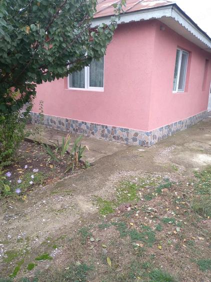 Casă cu Teren 900 Mp în Vulturu