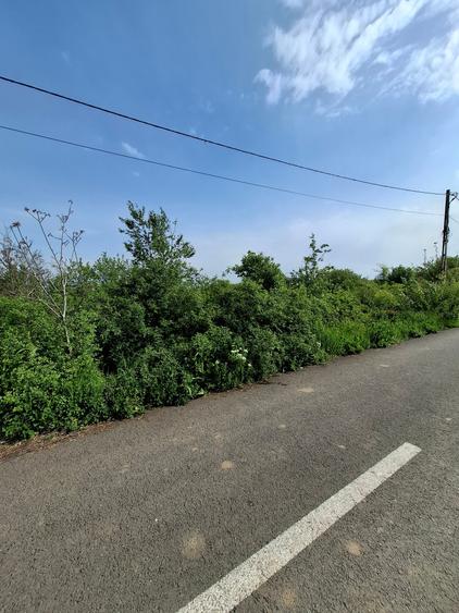 Teren Construcții intravilan de 3300 mp, în Vlădiceasca