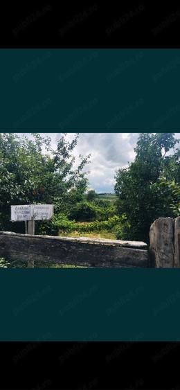 Teren de 2900 mp, în Ceanu Mic