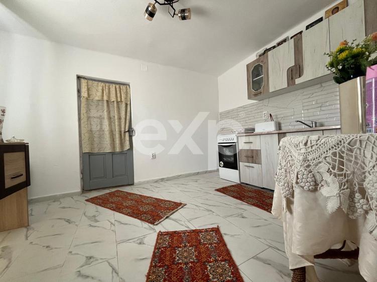 Casă cu 2 camere cu Teren 880 Mp în Broșteni (Vișina)