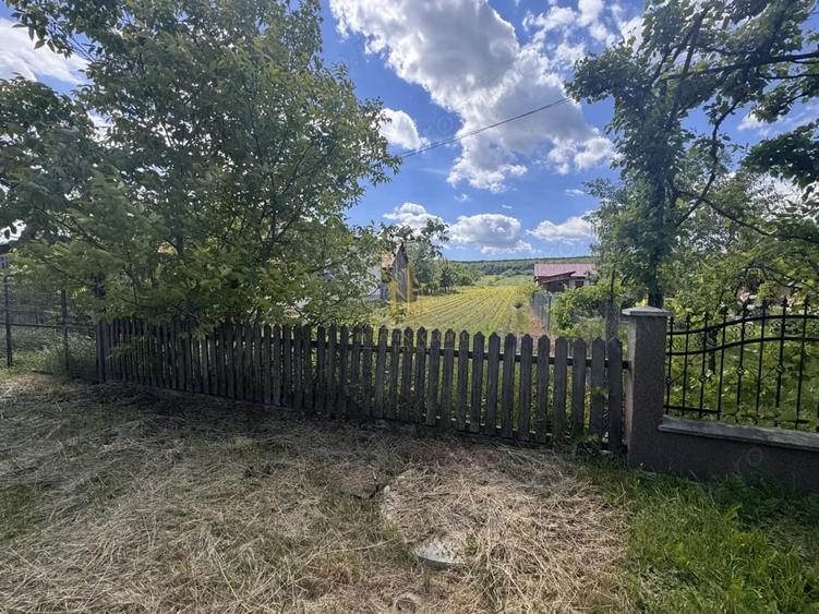 Teren de 2900 mp, în Lipoveni