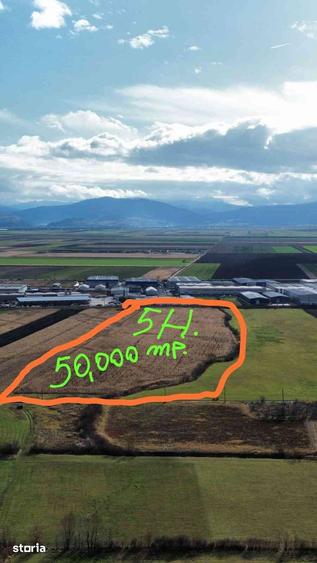 Teren de 50000 mp, în Prejmer