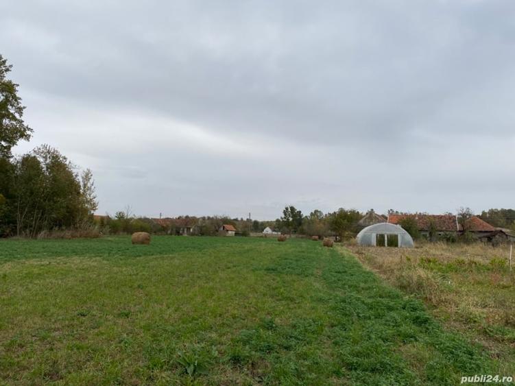 Teren de 4990 mp, în Duboz
