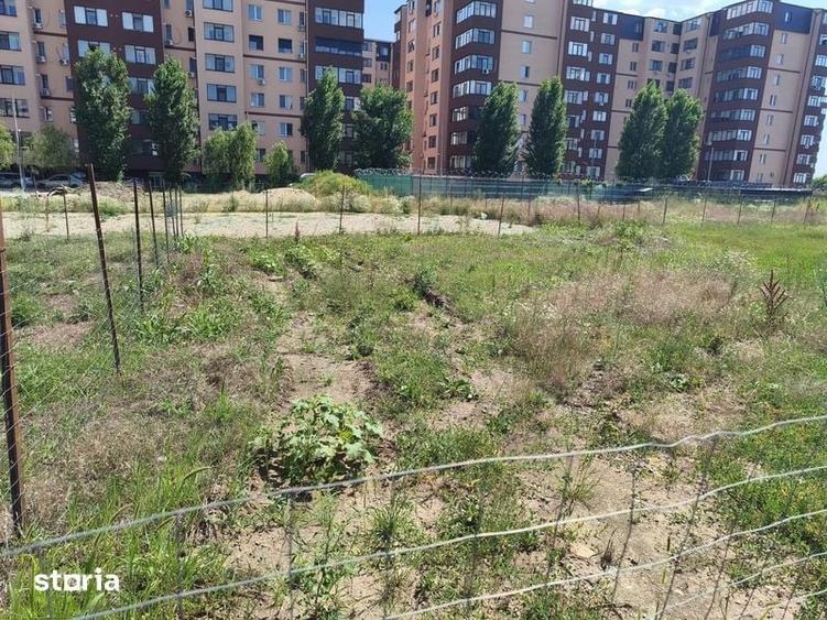 Teren de 600 mp, în Chiajna