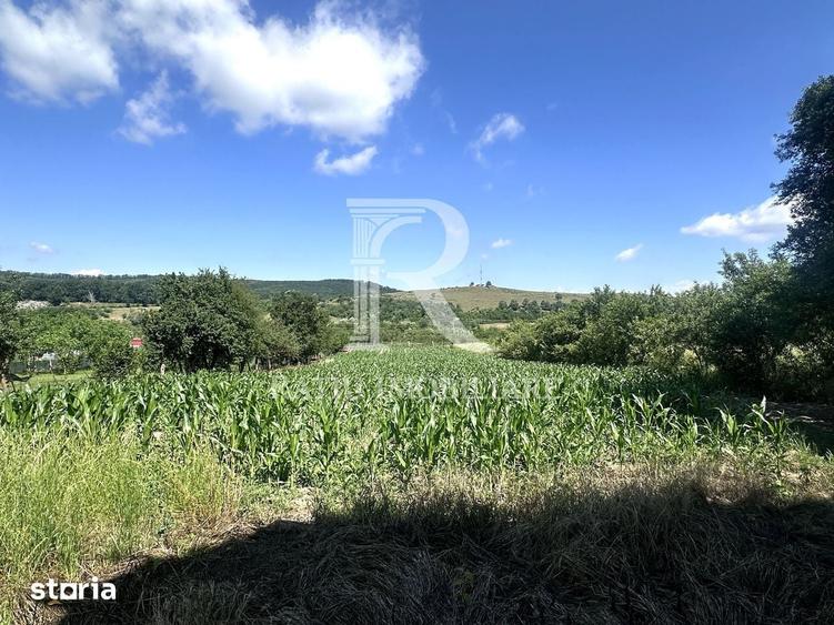 Casa de vanzare cu teren generos | Sumugiu | Bihor - 8