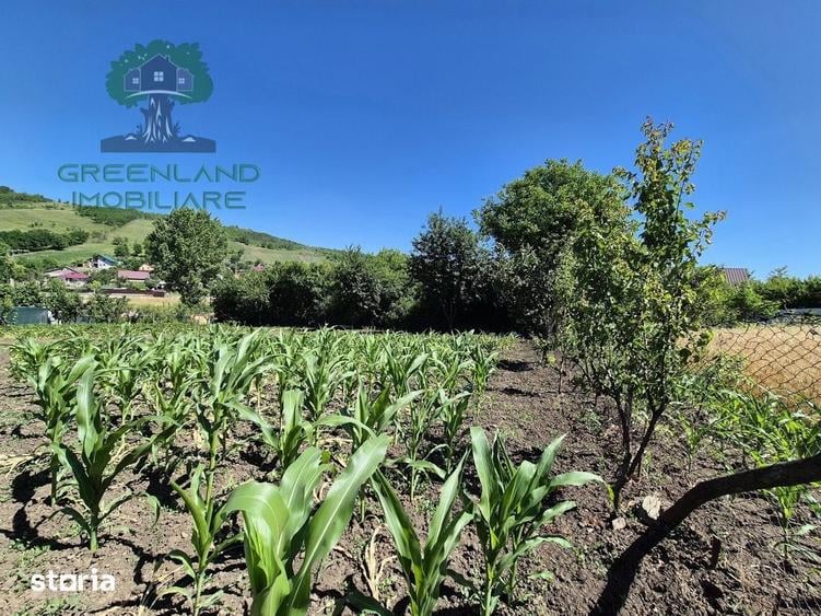 Casă cu 5 camere cu Teren 3024 Mp în Popricani