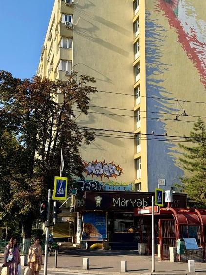Garsonieră în Gorjului