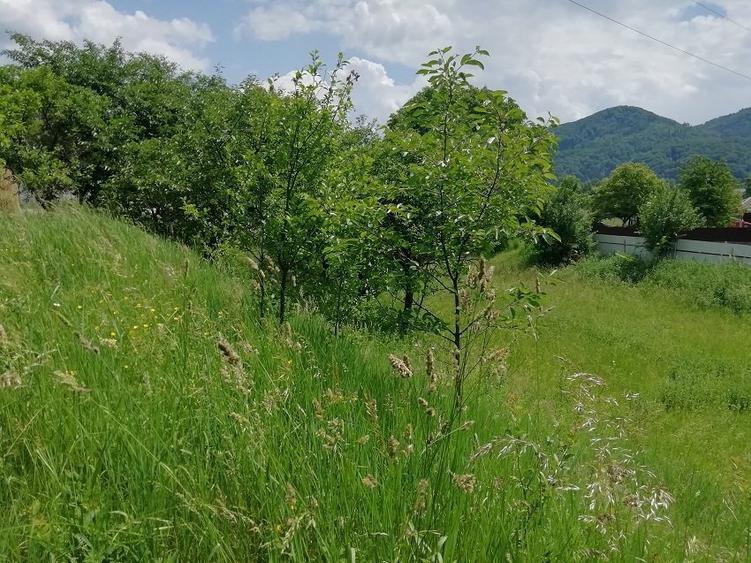 Teren Construcții intravilan de 1800 mp, în Exterior Vest