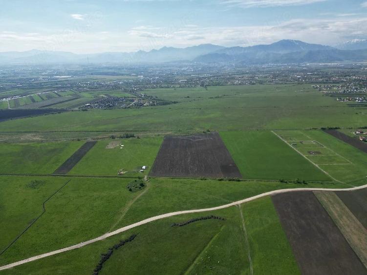 Teren de 8600 mp, în Stupini