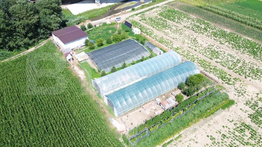 Teren agricol extravilan de 14068 mp, în Periferie