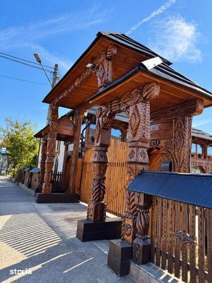 Casă cu 6 camere cu Teren 4000 Mp în Firiza