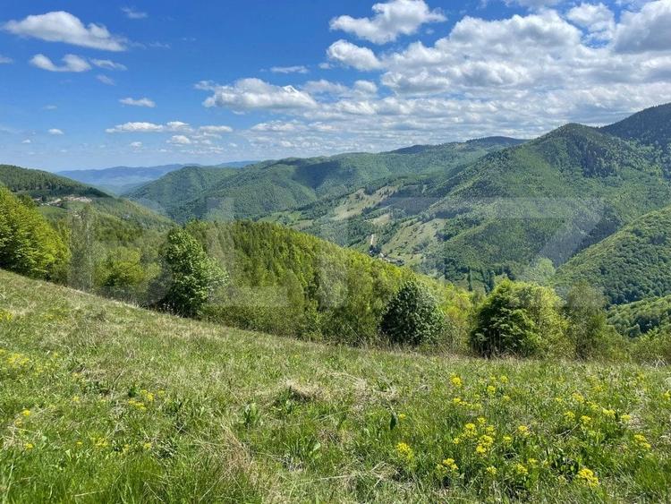 Teren agricol extravilan de 6000 mp, în Valea Ierii