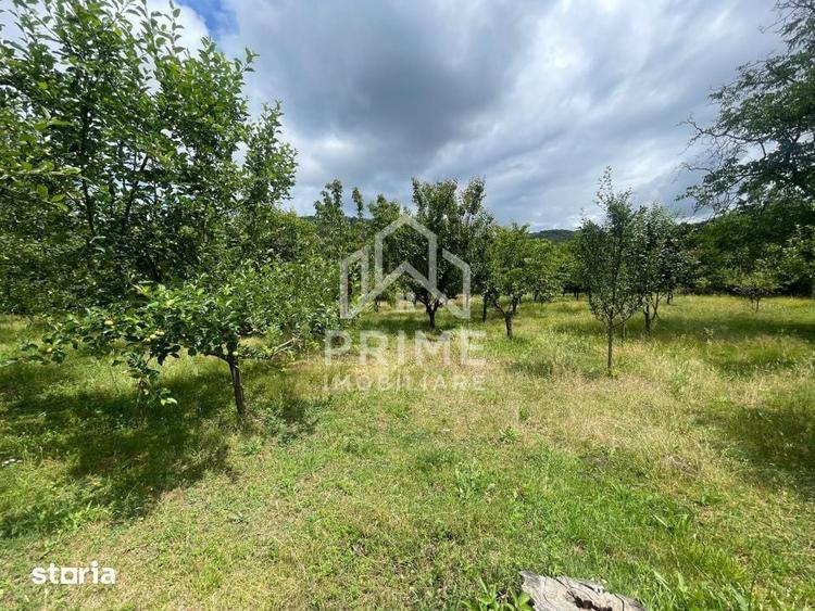 Teren de 2158 mp, în Pianu