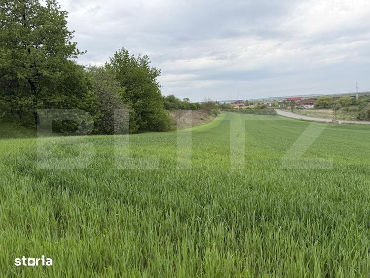 Teren de 12500 mp, în Bobota