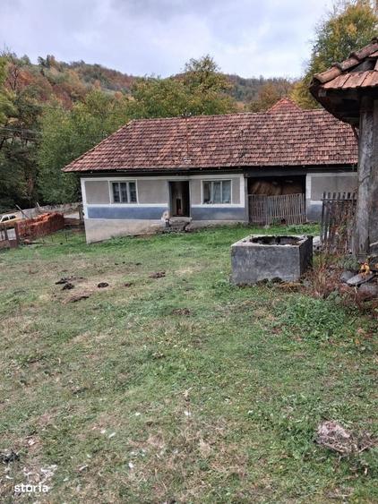 Casă cu 3 camere cu Teren 7000 Mp în Central