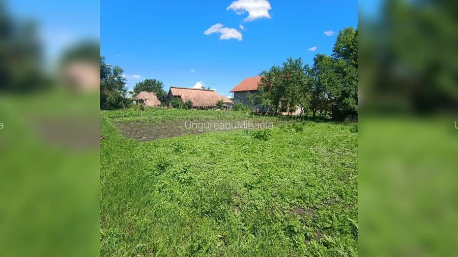 TEREN 1557MP CU UTILITĂȚI PRETABIBIL DUPLEX/CASĂ INDIVIDUALĂ JUCU CLUJ