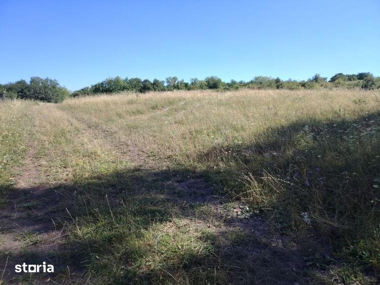 Teren intravilan in Macicasu natura, investitie si potential turis - 3