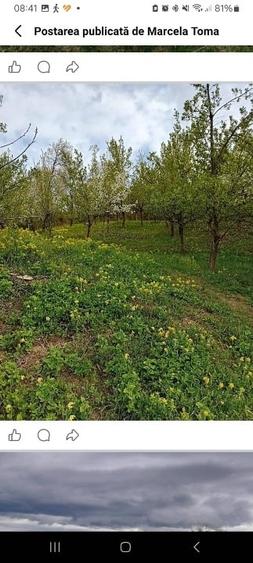 Teren extravilan de 5800 mp, în Aiudul de Sus