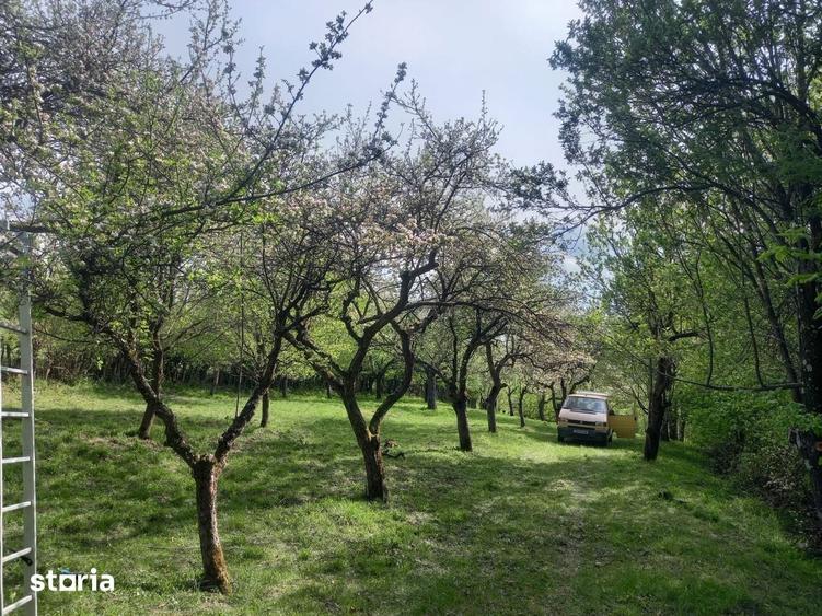 Teren de vanzare extravilan Cisnadioara/Rasinari - 2