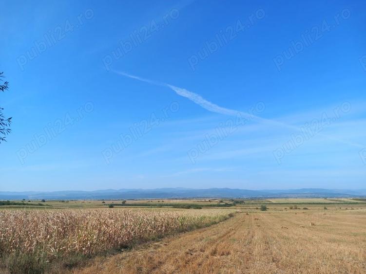 Teren de 9000 mp, în Lămășeni