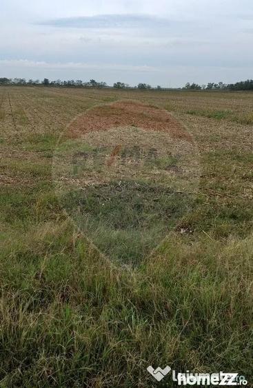 Teren în Sântion