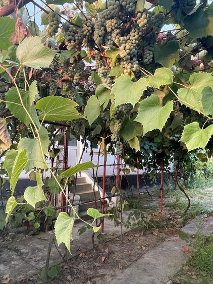 Casă cu 3 camere în Vladimir