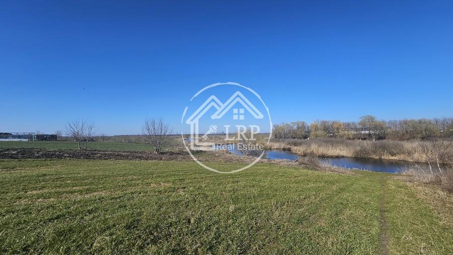 Teren Construcții intravilan de 646 mp, în Dascălu