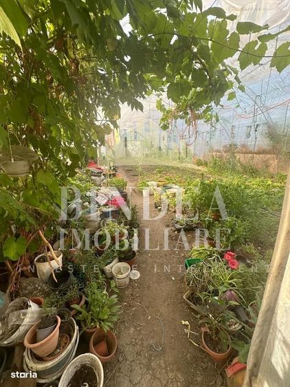 Casă cu 4 camere cu Teren 1052 Mp în Giarmata