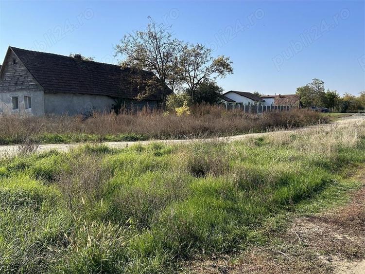 Teren de 22000 mp, în Livada
