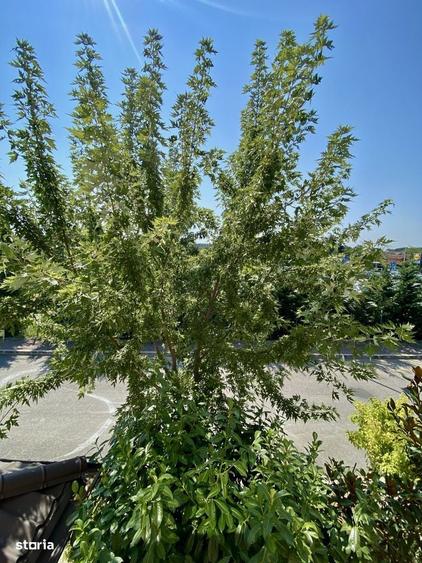 Prima inchiriere, ideal Familie cu Copii, Centru Corbeanca, Cartierul - 13