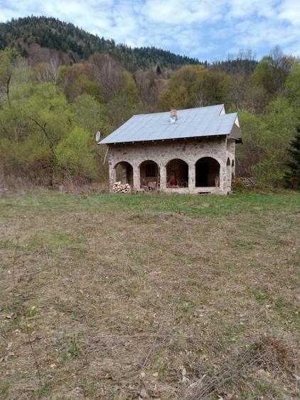 Casă individuală cu 5 camere cu Teren 30283 Mp în Tarcău
