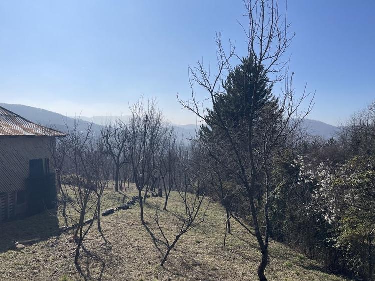 Casă cu 2 camere în Provița de Jos