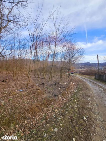 Teren de 2714 mp, în Căzănești