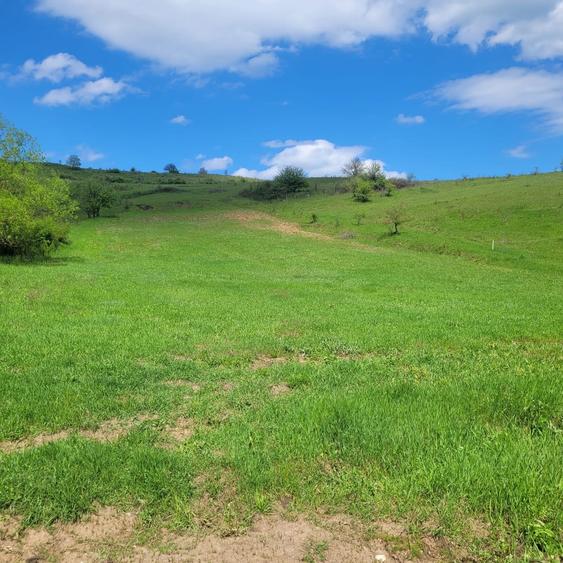 Teren Construcții intravilan de 2200 mp, în Sânpaul