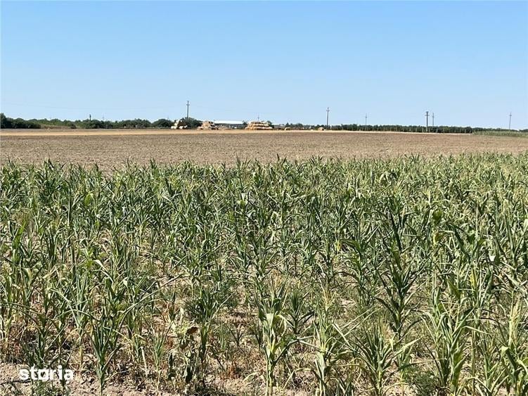 Teren de 18100 mp, în Tulca