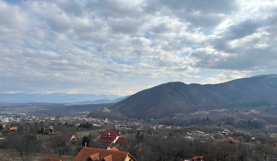 Spațiu comercial, în Gușterița