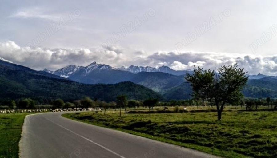 Teren de 1000 mp, în Sâmbăta de Sus