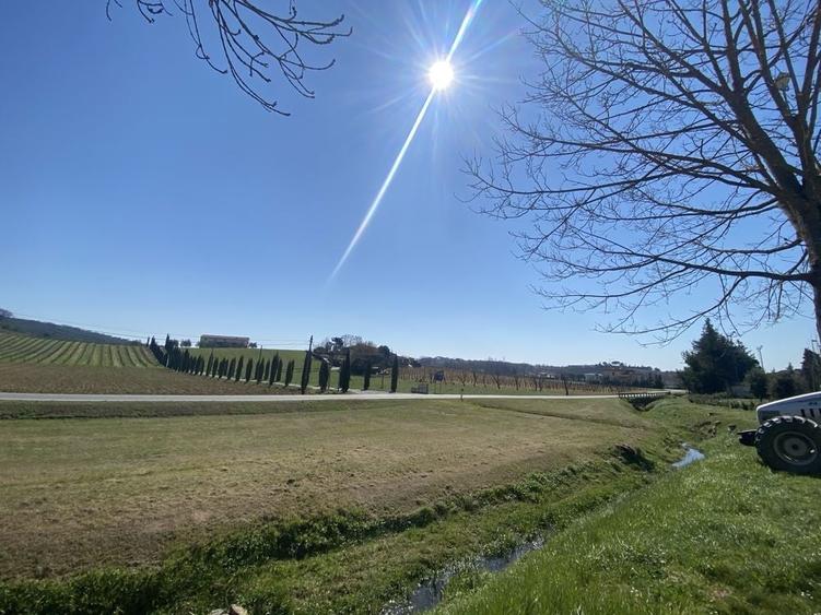 Teren intravilan 937 mp Branesti, Vadu Anei Ideal Casa / Resedinta - Autostrada Soarelui A2 - 2
