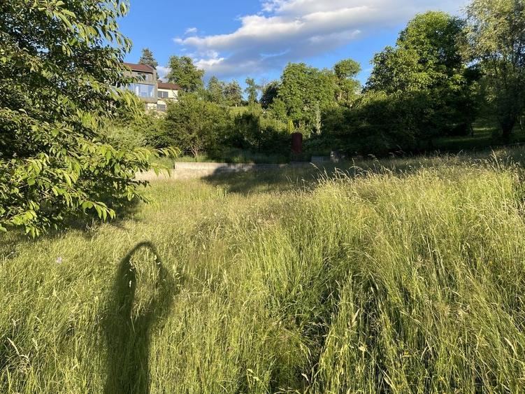 Teren de 2000 mp, în Sohodol